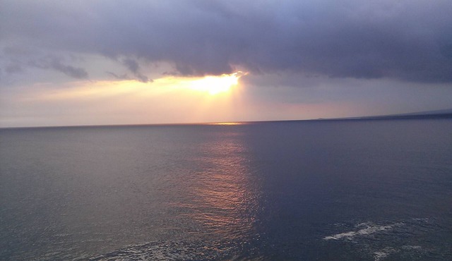 Hawaii Yurt luxury for less