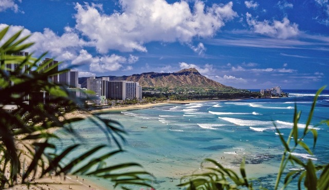 Hawaiian Monarch 805 Condo by RedAwning