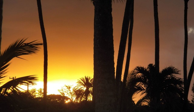 Hawaiian Style Ohana Living On The Friendly Isle Of Molokai.