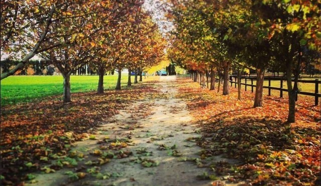 Hawkesbury Country Retreat