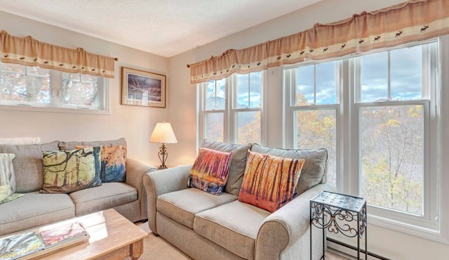 Hawks Peak 203-Mtn Condo, Entry Level, Near High Country Attractions