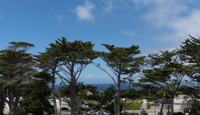 Hawthorne 901A - Monterey Condo - Walk to Beach and Aquarium