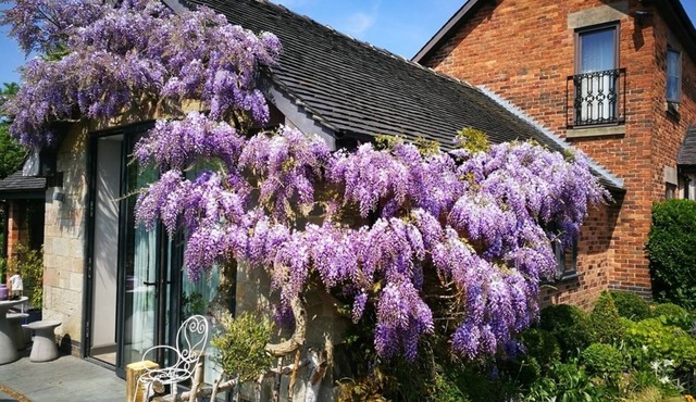 Hayeswood Lodge Luxury Accommodation