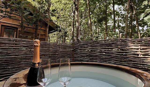 Hayne Barn Estate - Private Estate : 6 Eco Lodges - 1 Studio