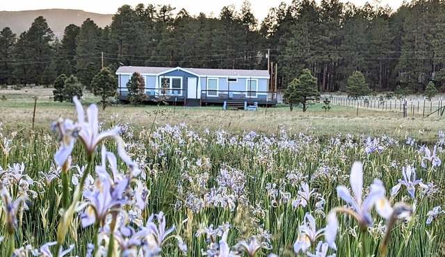 Hays Hideaway