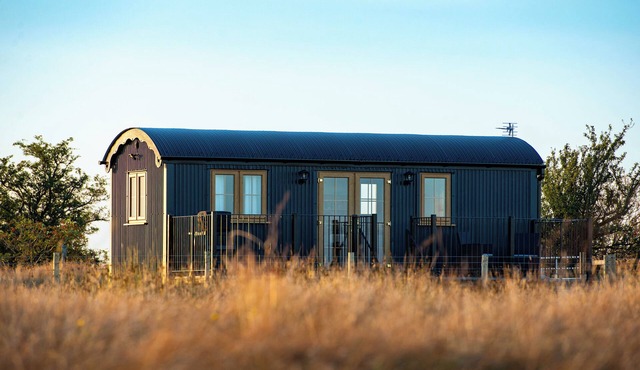 Head For The Hills Glamping Shepherd’s Hut. Pet friendly, mountain viewsnn