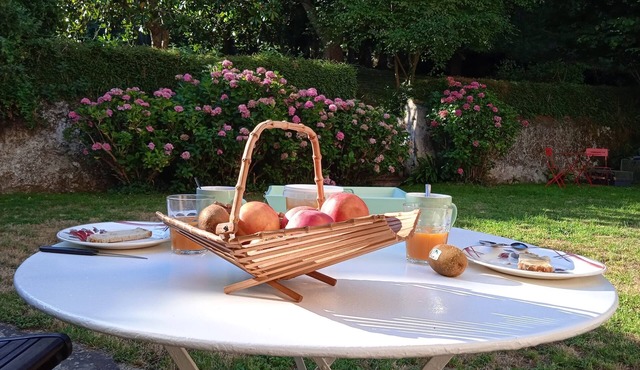 Healthy, WIFI and LINKY-free gîte in the heart of the central Pyrenees