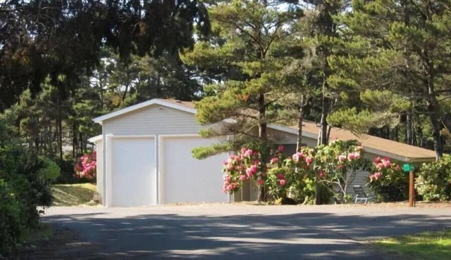 Hear the Surf, Stroll to the Beach – Cozy Studio