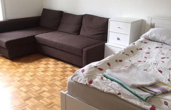 Heart of Basel , River Side entire apartment