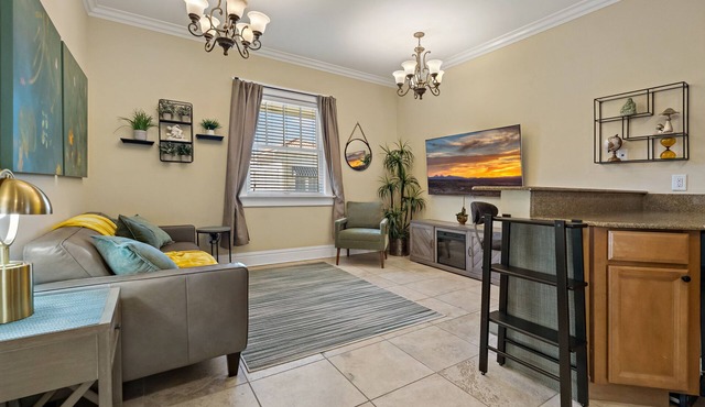 Heart of Hyde Park Tampa/Parking/Netflix/Gym