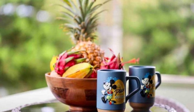 Heart of Princeville w/AC minutes from everything!