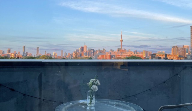 Heart of Queen West! Perfect 1bedroom condo with terrace and view