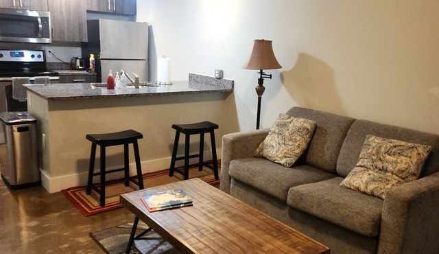 Heart of the Arts - New King Suite on West Broad Condo’s next to Quirk MCV VCU