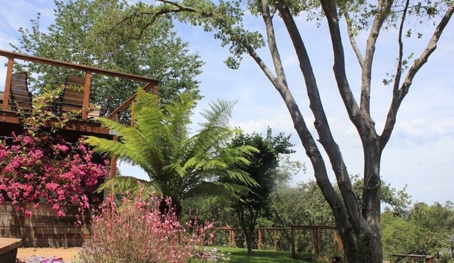 Heart of the Wine Country Estate 5BR , 14 beds