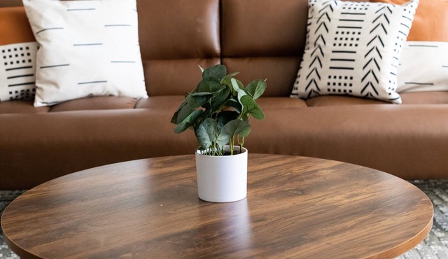 Heart of Tulsa EXPO HORSE SHOW DOG SHOW CHILI BOWL