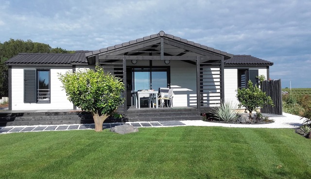 Heart of Vines, Cottage in Pomérols