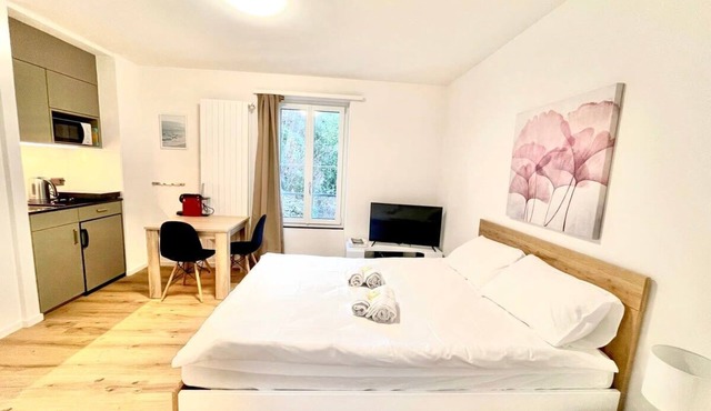 Heart of Zurich Modern Studio (HG20)