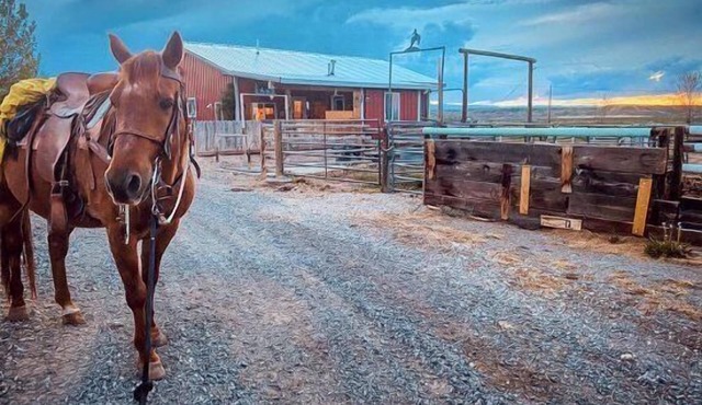 Heart Strings Ranch- Views of Heart Mountain & Near Horses!