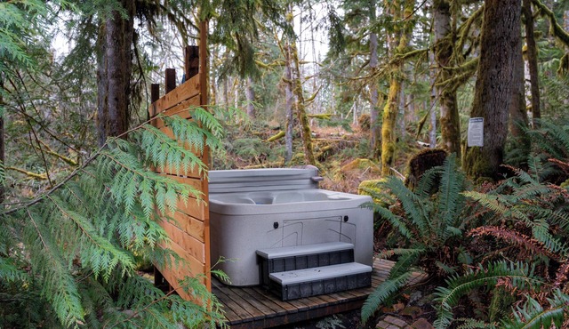 Hearthstone Cottage: hot tub deep in the woods w/sounds of the creek