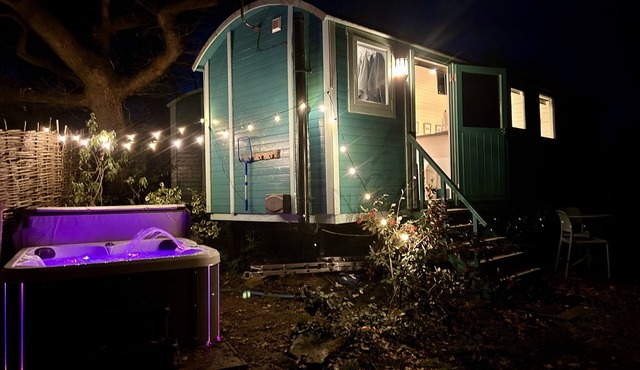 Heartsease - luxury Shepherd's Hut, amazing views.