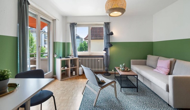 Heartwarming haven: cozy Apt in heart of Zurich