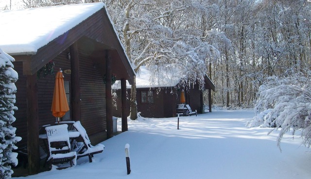 Heated Indoor Swimming Pool, beautiful 2 bed lodge set in woodland.