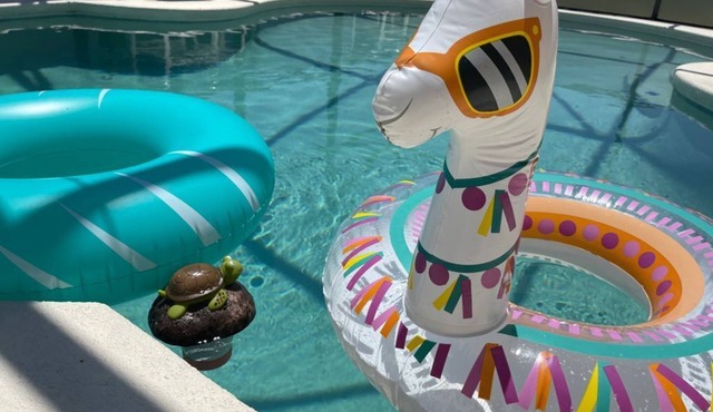 Heated Pool and BBQ/King Size beds, 2 master bdrms