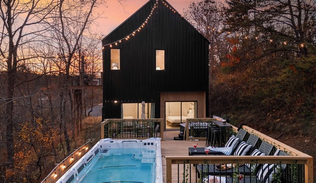 Heated Pool + Hot Tub + Plunge Asheville Spa Retreat Gallery House
