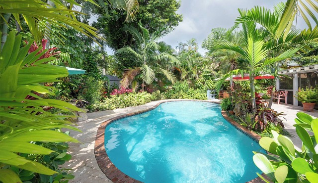 Heated pool, lush oasis getaway near Wilton Manors