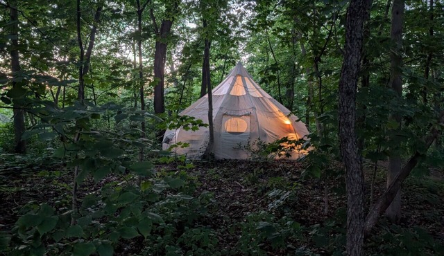 Heated Tent, Queen Bed in Forest on Farm w Animals