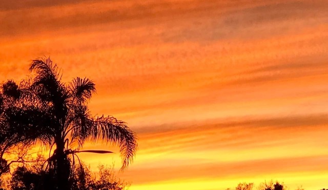 Heavenly Holiday House by the Gulf