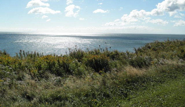 Heavenly Shores Oceanfront Cottage on 6+ sprawling acres in White Sands