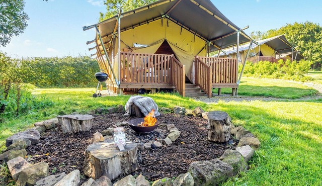 Hedgehogs Hideaway - UK45296