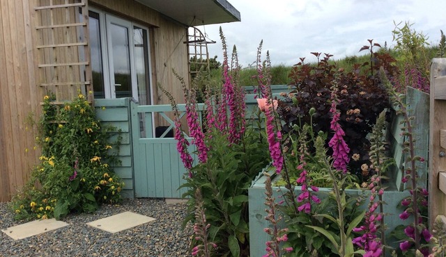 Hedgerow Hut - the perfect Tiny House