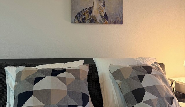HELVETIA CORPORATE HOUSING