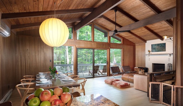 Hemlock House Lake Naomi Mid Century Raised Chalet