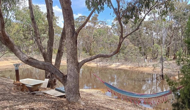 Hempcrete Passive House Homestead in Castlemaine. Pet-friendly.