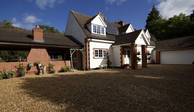 Hen/stags and familys