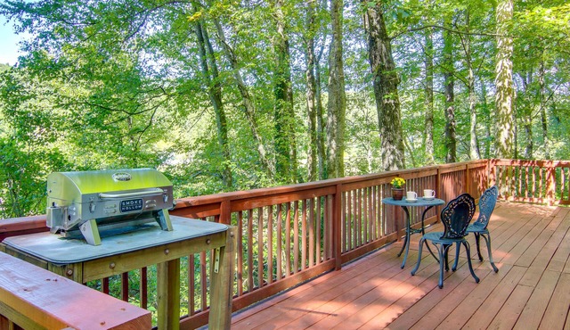 Hendersonville Creekside Cabin: Near DuPont Forest
