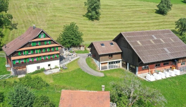 Henggeler by Interhome