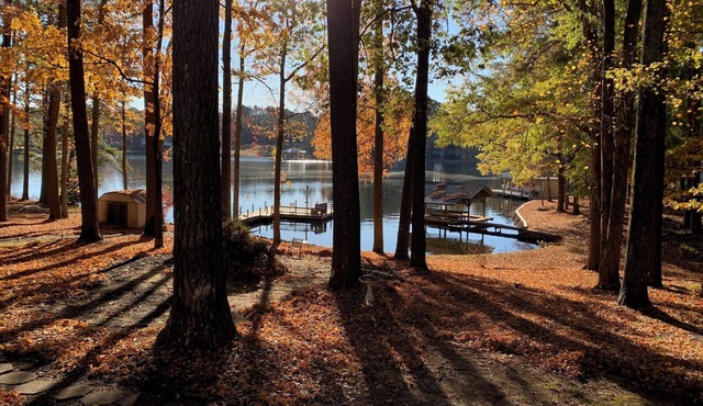 Henny Penny's Lake House