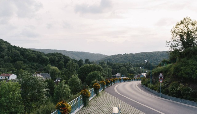 Herenhuis met boomgaard & pizza oven