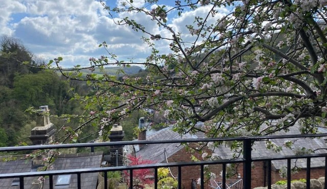 Heritage cottage with stunning views