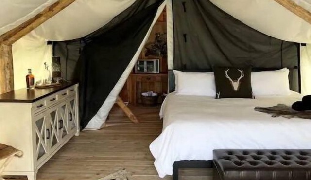 Heritage Ranch 'Bobcat' Glamping Tent (2)