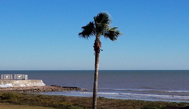 "Hermosita": Contemporary Seascape Beachfront Condo