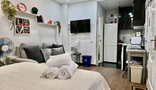 HERMOSO APARTAMENTO TIPO ESTUDIO EN MADRID SFL5