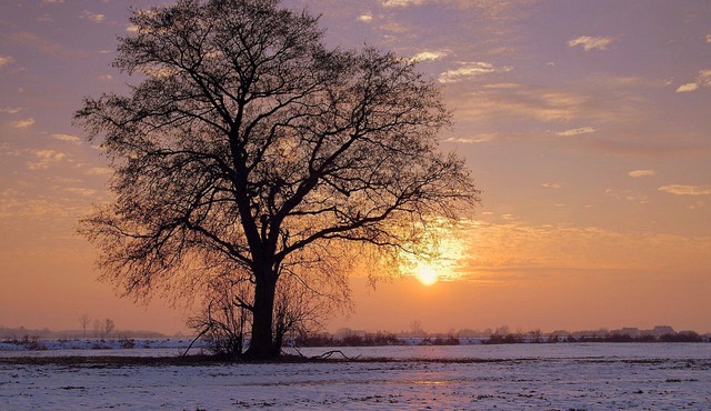 "Heron Cottage" Walkers Paradise & Pet Friendly