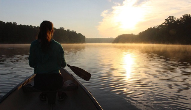 Heron Landing: Escape to Lake Mayo.nPrivate cove, where nature abounds! nnnn