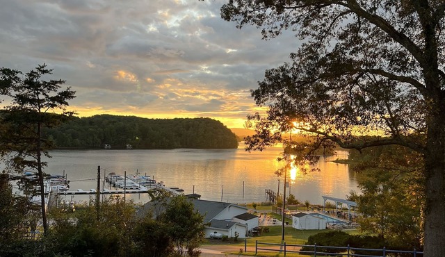 Heron’s Cove on Leesville Lake.