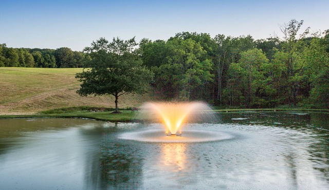 Heron's Hollow 2 bedroom spacious farm stay on 30 acres